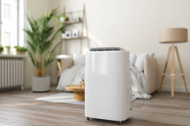 Best Ductless Mini-Split Systems in Northlake, SC
